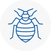 Bed Bug Extermination In Falkirk